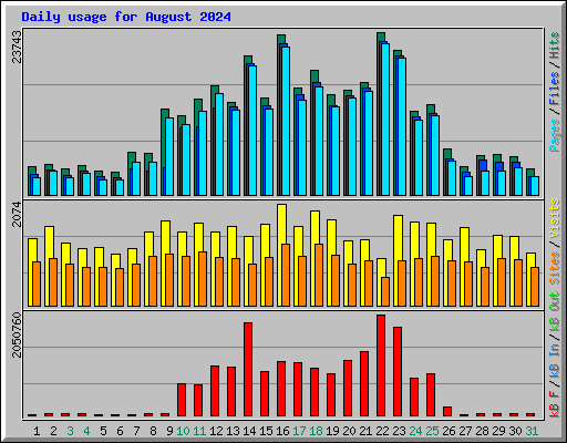 Daily usage for August 2024