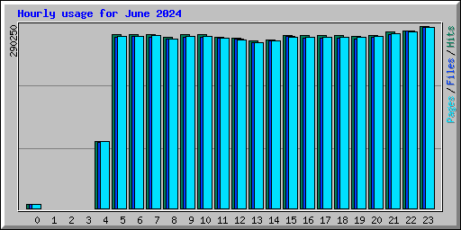Hourly usage for June 2024