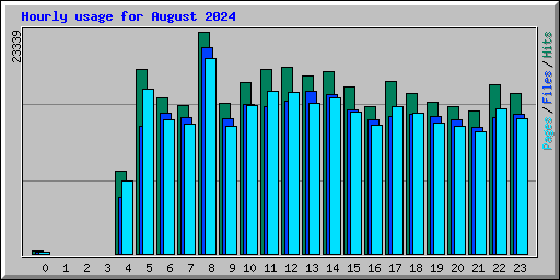 Hourly usage for August 2024