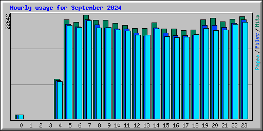 Hourly usage for September 2024